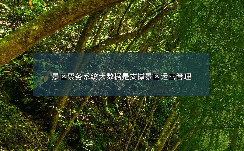 景區(qū)票務系統(tǒng)大數(shù)據(jù)是支撐景區(qū)運營管理