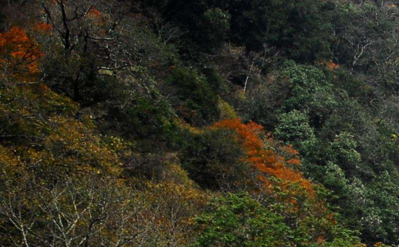 影視旅游目的地集合粉絲群體，助力景區(qū)精準營銷
