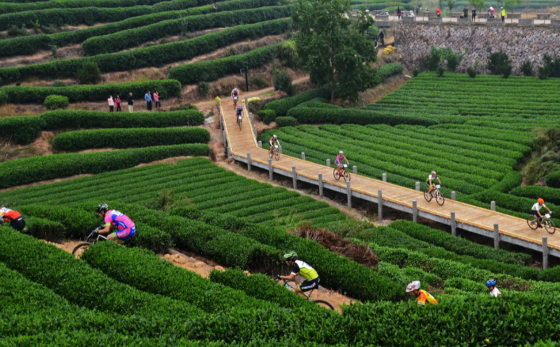 鄉(xiāng)村旅游項(xiàng)目該如何打造 
