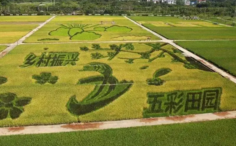 游客旅游需求和觀念變化推動景區(qū)轉(zhuǎn)型升級