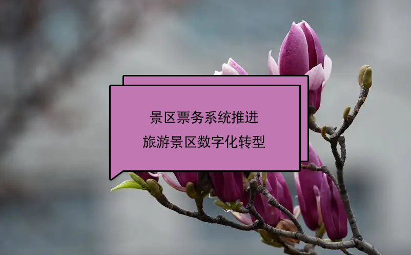 景區(qū)票務(wù)系統(tǒng)推進旅游景區(qū)數(shù)字化轉(zhuǎn)型