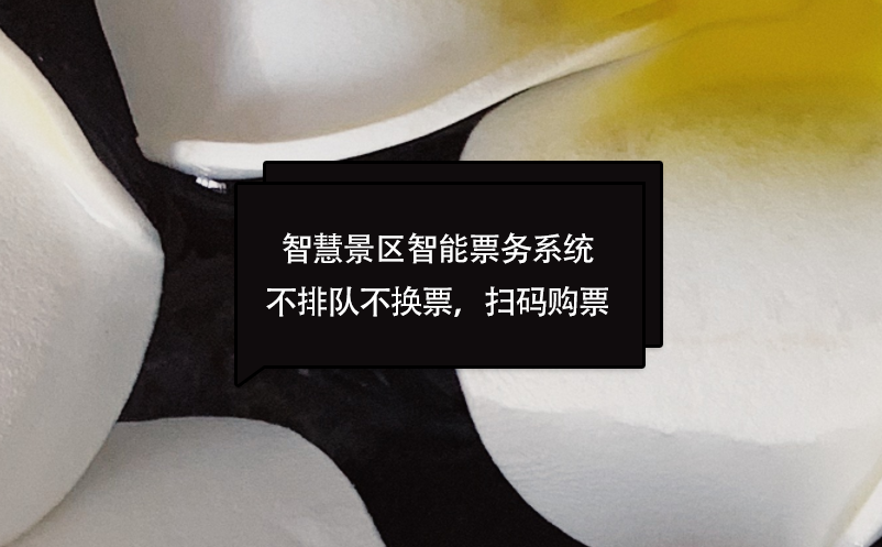 智慧景區(qū)智能票務(wù)系統(tǒng)不排隊不換票，掃碼購票