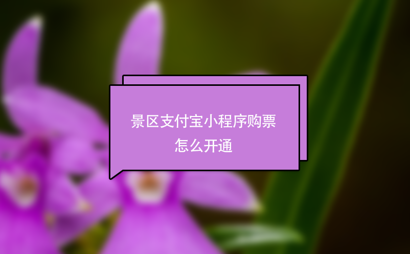 景區(qū)支付寶小程序購票怎么開通？