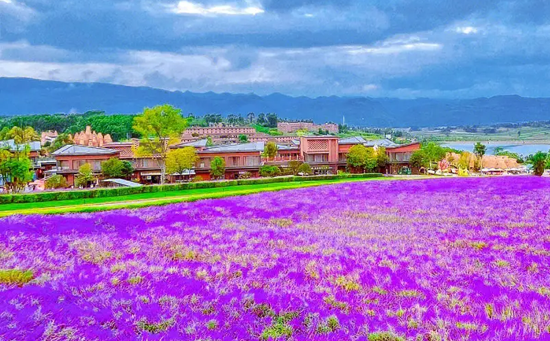 景區(qū)門票銷售混亂怎么辦？試試易景通景區(qū)票務(wù)系統(tǒng)