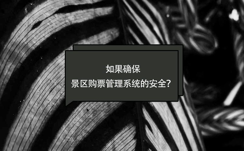 如果確保景區(qū)購票管理系統(tǒng)的安全？