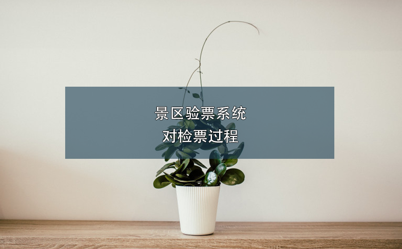 景區(qū)驗票系統對檢票過程
