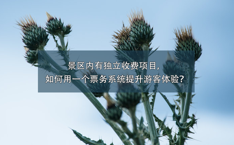景區(qū)內(nèi)有獨(dú)立收費(fèi)項(xiàng)目，如何用一個票務(wù)系統(tǒng)提升游客體驗(yàn)？