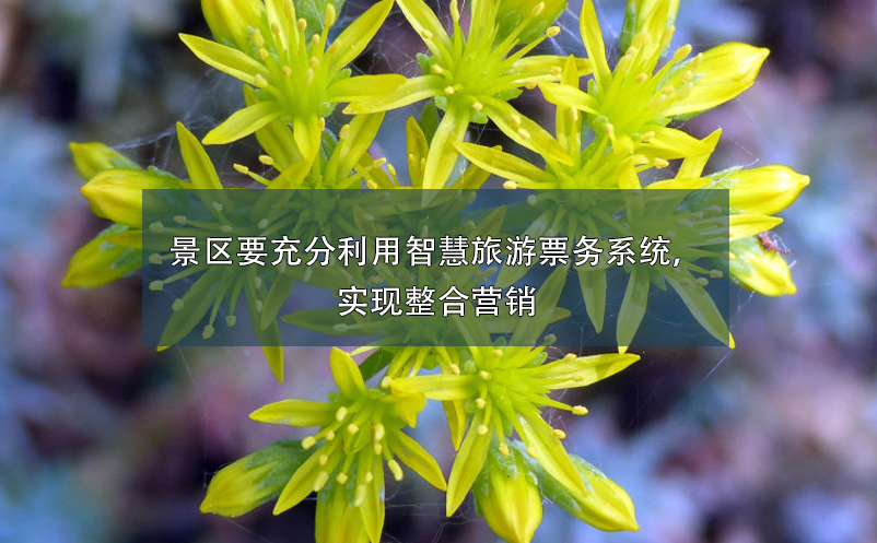景區(qū)要充分利用智慧旅游票務(wù)系統(tǒng)，實(shí)現(xiàn)整合營銷