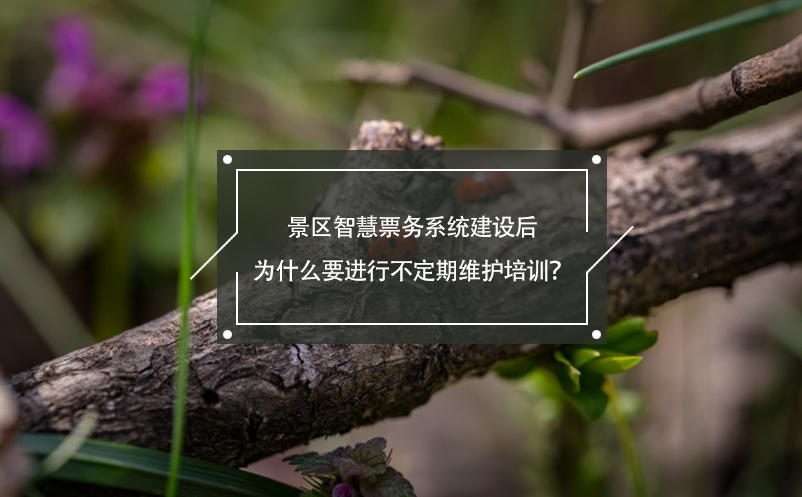 景區(qū)智慧票務(wù)系統(tǒng)建設(shè)后為什么要進(jìn)行不定期維護(hù)培訓(xùn)？