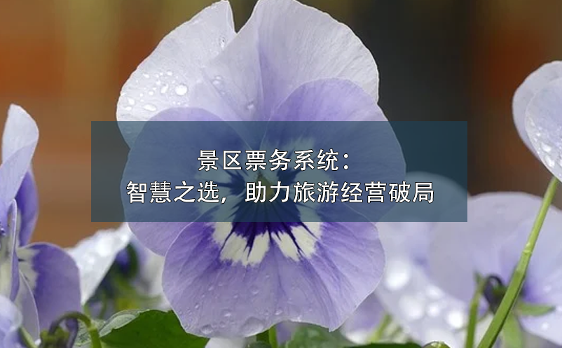 景區(qū)票務(wù)系統(tǒng)：智慧之選，助力旅游經(jīng)營破局