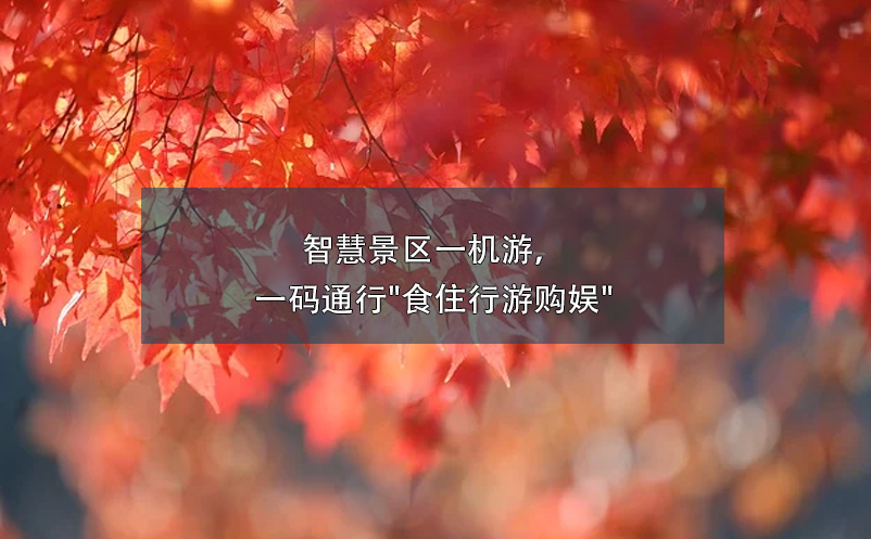 智慧景區(qū)一機游，一碼通行