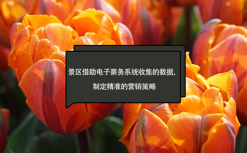 景區(qū)借助電子票務(wù)系統(tǒng)收集的數(shù)據(jù)，制定精準的營銷策略