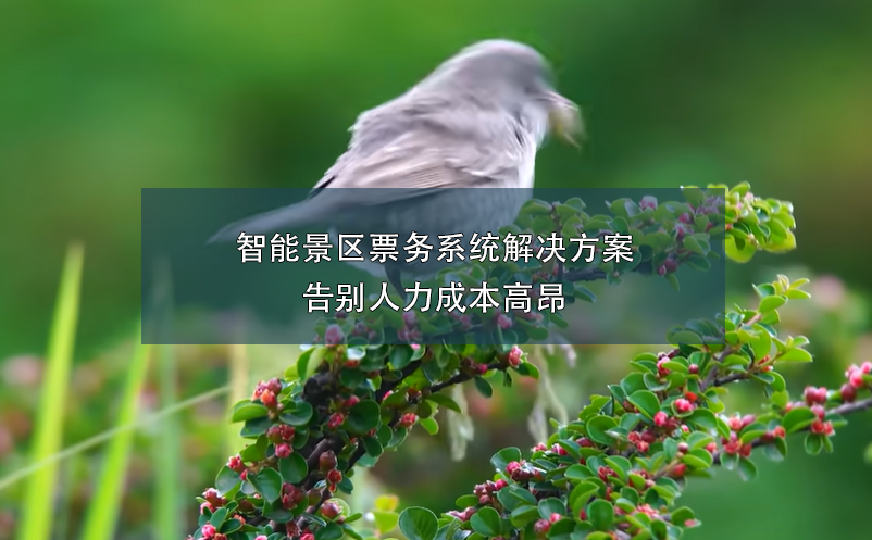 端午小長假，智能票務(wù)系統(tǒng)如何在確保游客體驗和提升景區(qū)的管理？