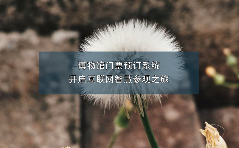 博物館門票預(yù)訂系統(tǒng)開(kāi)啟互聯(lián)網(wǎng)智慧參觀之旅